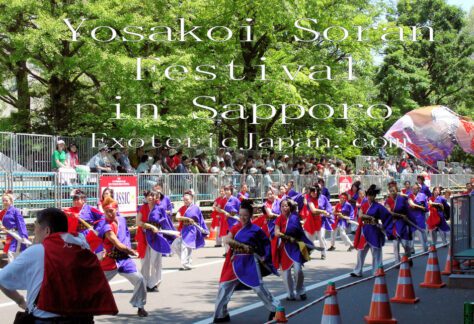 YOSAKOI Soran Festival in Sapporo Dancers, Exoteric Japan, Japanese Culture