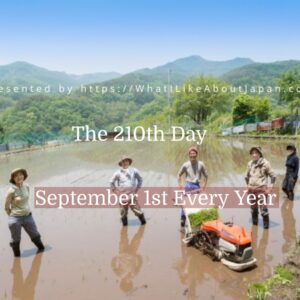 Japanese Culture, September in Japan, Four or five farmers stand around a flooded rice field in Japan.