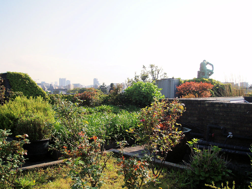 If you are into rooftop gardens then this is the Asakura Museum Rooftop Garden is your place to be.