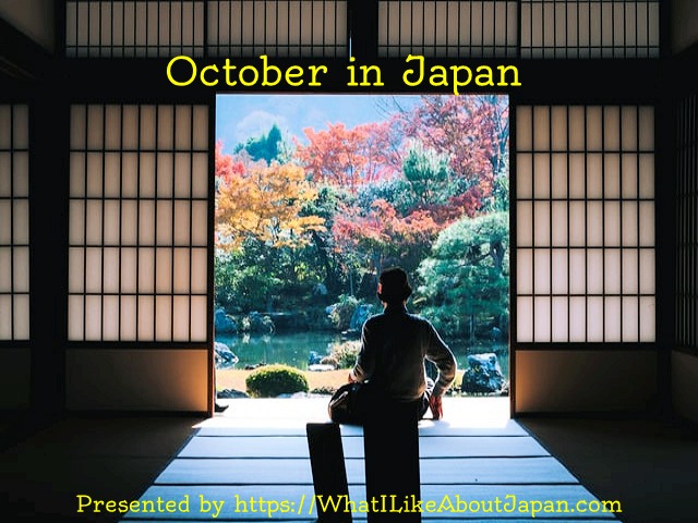 Japanese Culture, What I Like About Japan, October in Japan, silhouette of a person sitting at the edge of a traditional japanese room looking out onto a forest changing leaf color in the autumn somewhere in Japan