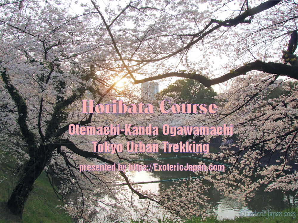 Exoteric Japan, Japanese Culture, Horibata Course around the Imperial Palace, Cherry trees blossoming on the ramparts of old Tokyo Castle, お堀端コース