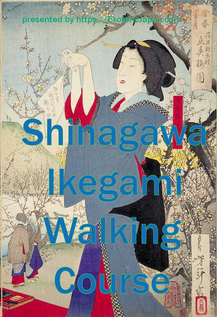 Exoteric Japan, Japanese Culture, Tokyo Promenade of History and Culture, Shinegawa Ikegami Walking Course, 品川池上コース, A woodblock picture of a traditionally dressed and coiffured Japanese woman tying a wish on a bough.