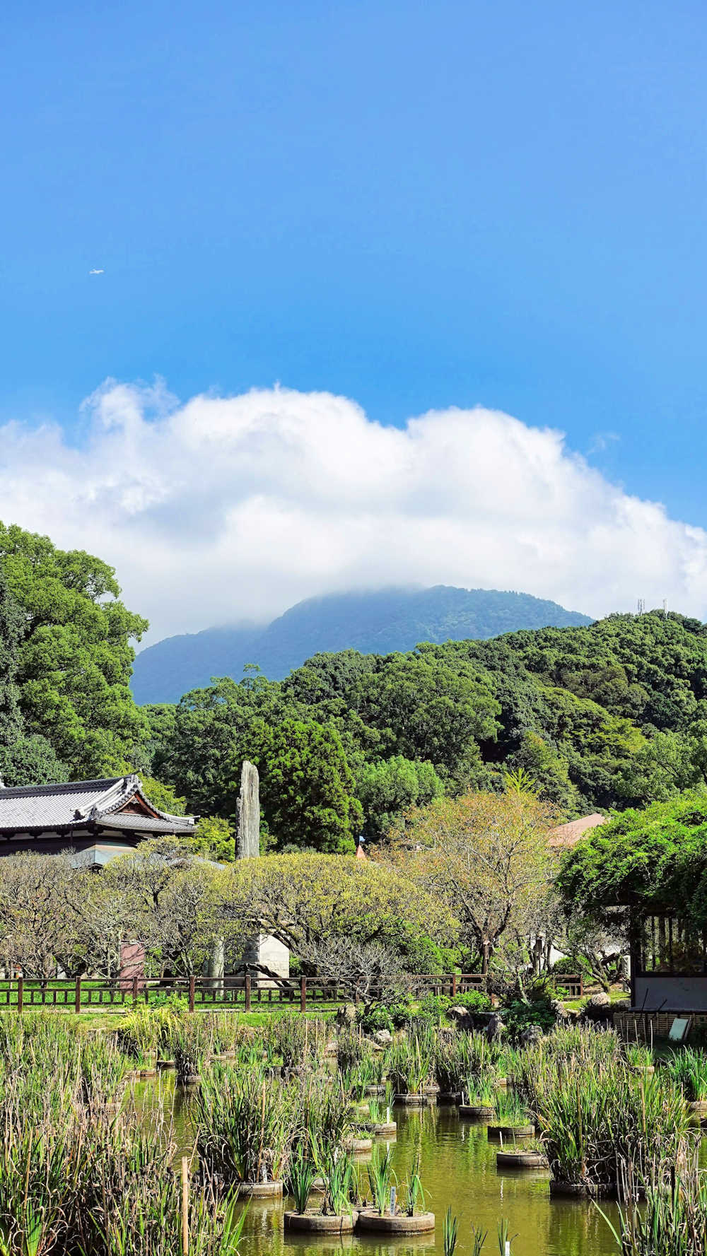 Mountain Day, Countryside and Mountain Background, Japanese Culture, Japanese Holidays, Exoteric Japan