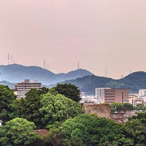 Citizen's Day 国民の休日
